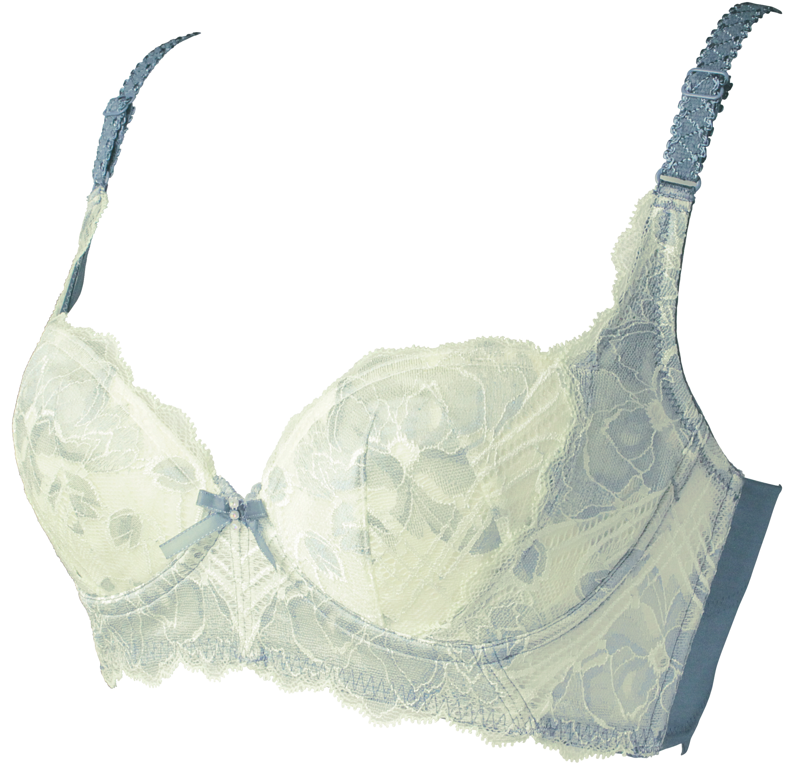 brassiere 1.jpg
